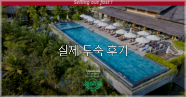 💬 실제 투숙 후기