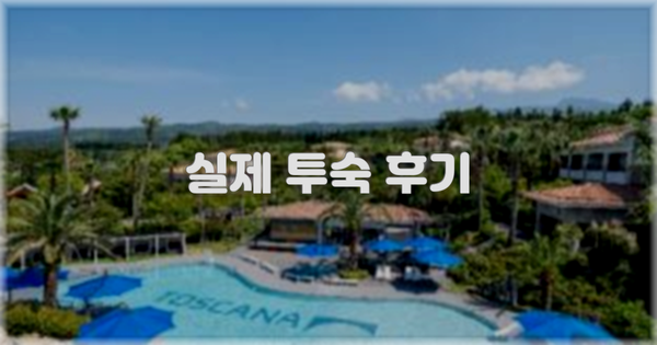 💬 실제 투숙 후기