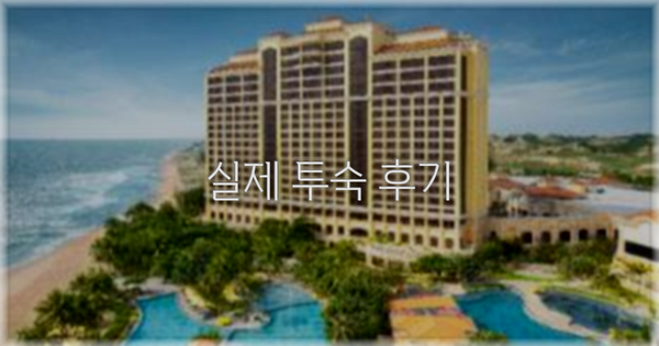 💬 실제 투숙 후기