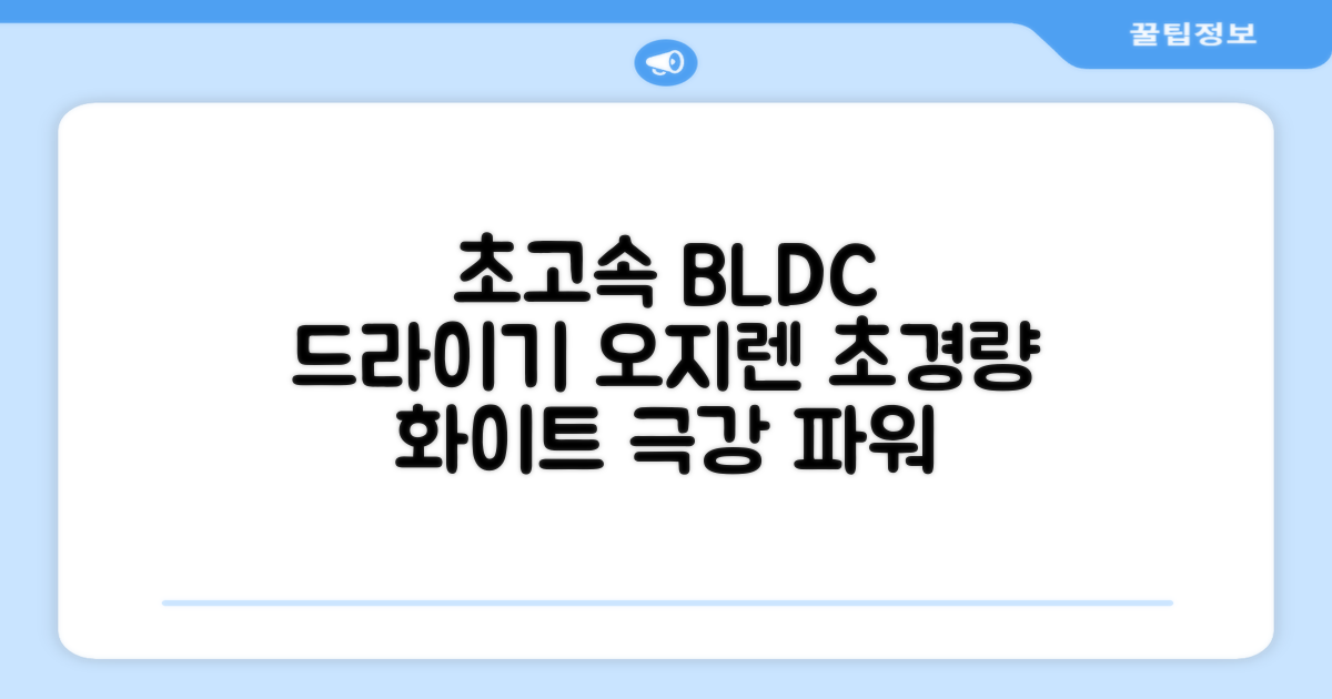 오지렌 초고속 고출력 초경량 음이온 BLDC 모터 헤어 드라이기, 화이트 추천 리뷰