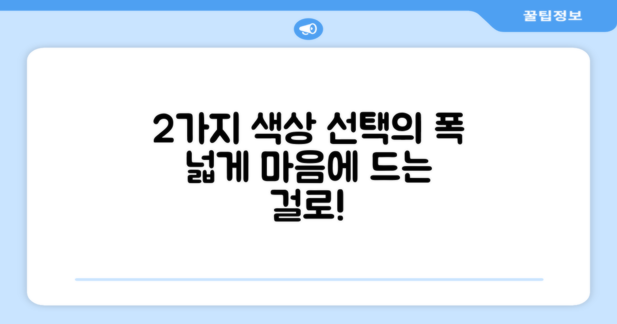 2가지 색상 옵션