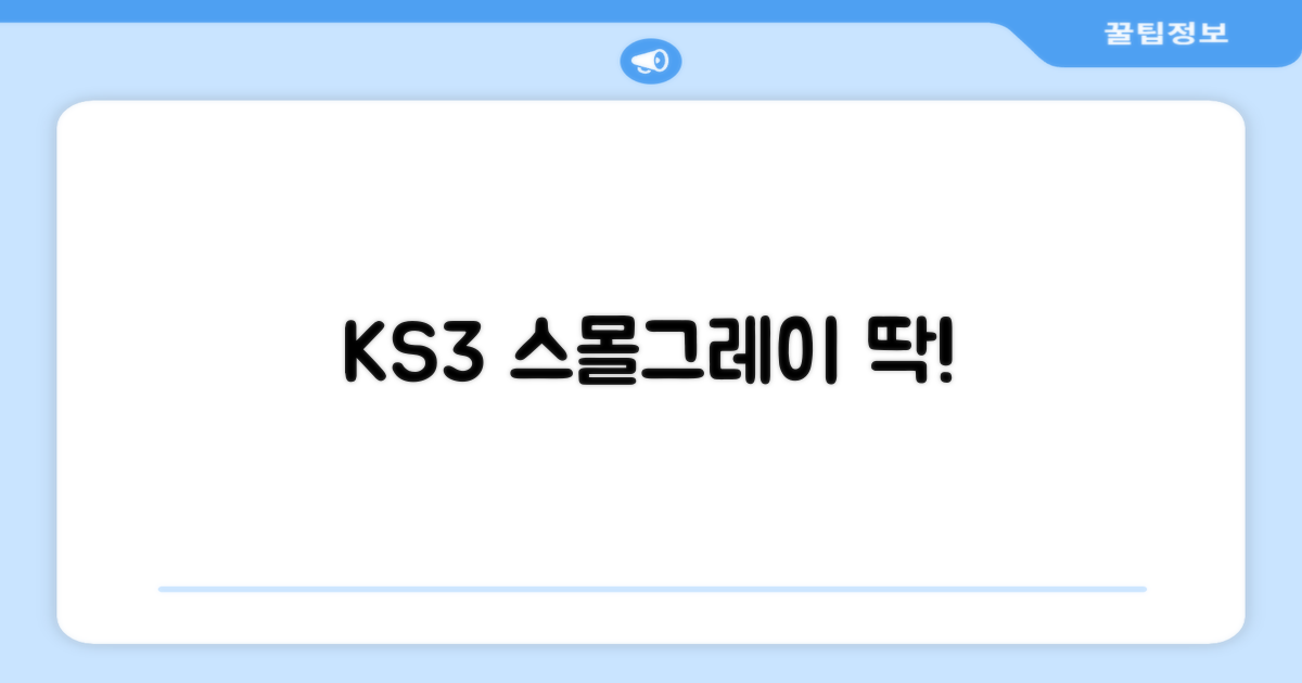 KS3 스몰그레이 딱!