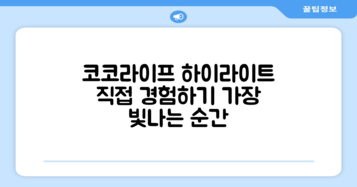 코코라이프 하이라이트, 직접 경험하세요