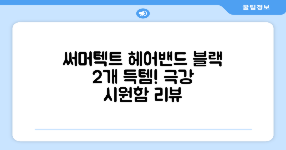 써머텍트 기능성 헤어밴드, 블랙, 2개 추천 리뷰