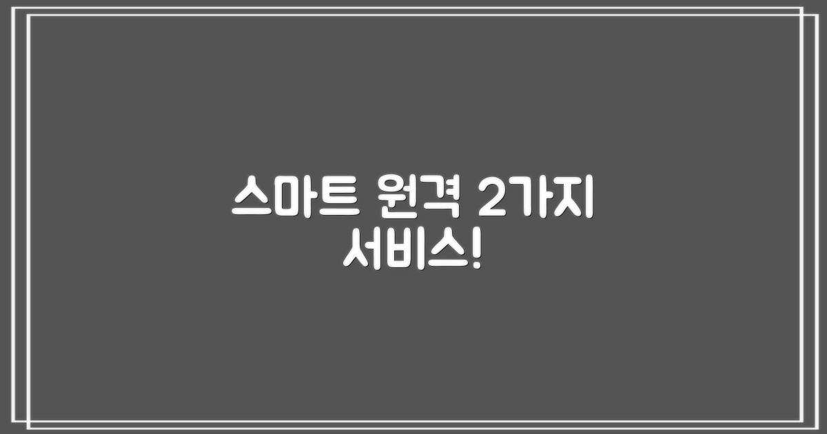 2가지 스마트 원격 서비스