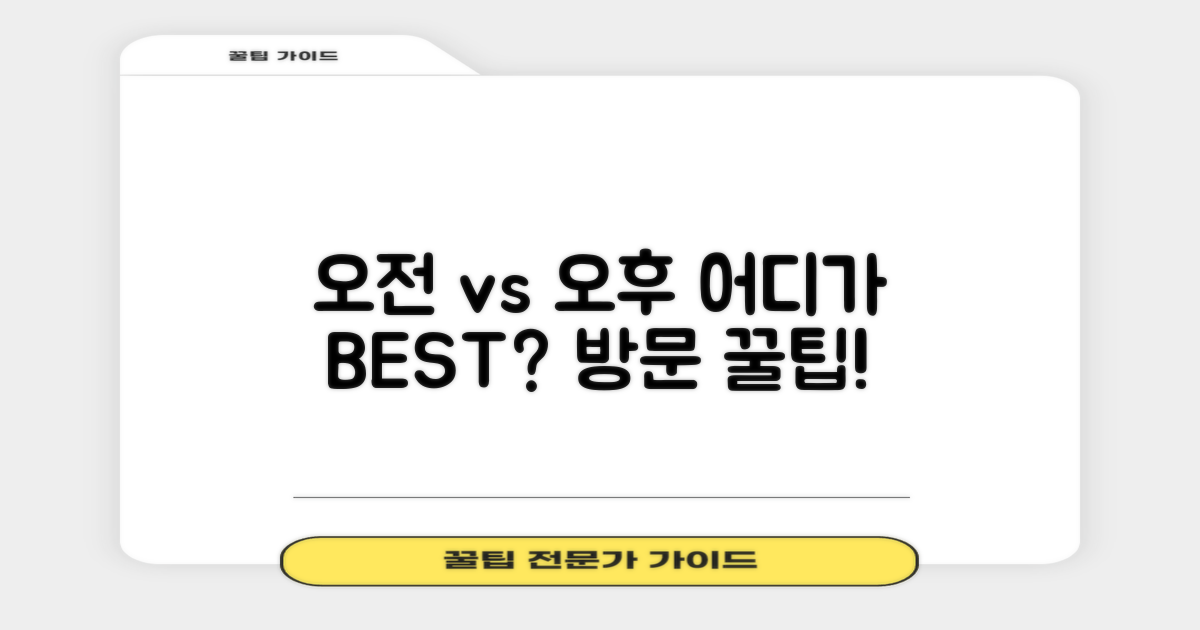 오전 방문 vs 오후 방문 팁